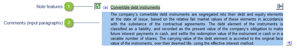 Convertible debt instruments policy