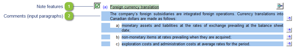 Foreign currency translation policy 