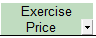 2. Exercise price/ issue price