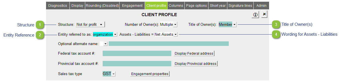Setting up the Client profile in the Jazzit Financial Statements