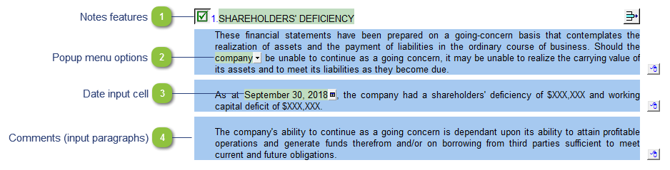 Shareholder's deficiency
