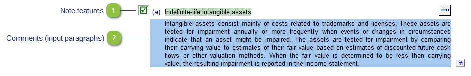 Indefinite-life intangible assets policy