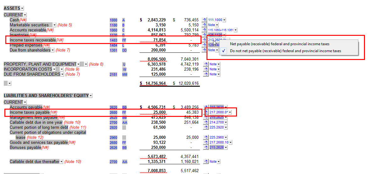 Option To Net Balances Recoverable payable On The Balance Sheet 