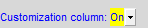 8. Customization Column