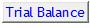 7. Trial Balance