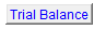 9. Trial Balance