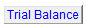 7. Trial Balance