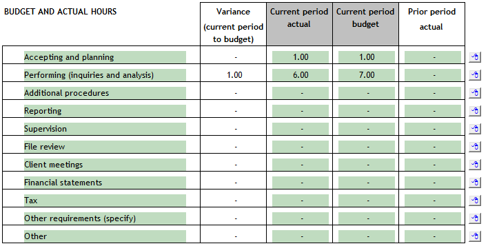 5. Budget and Actual Hours